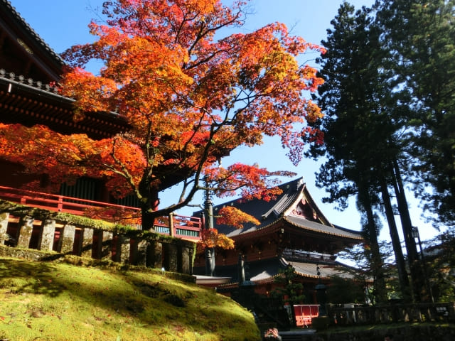 日光東照宮